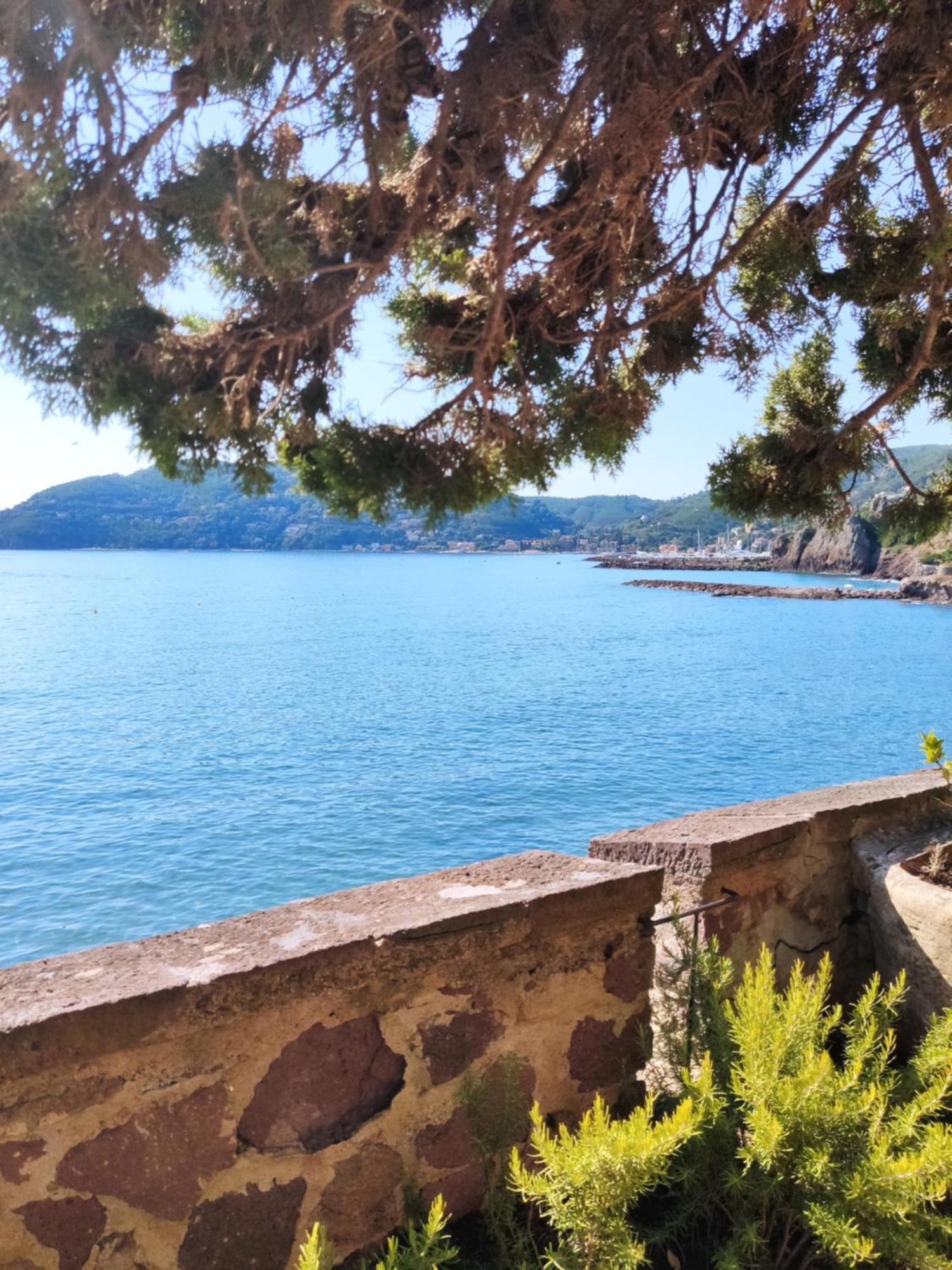 Cannes - 2 Pieces Refait A Neuf Palais Des Festivals - Croisette Exterior foto